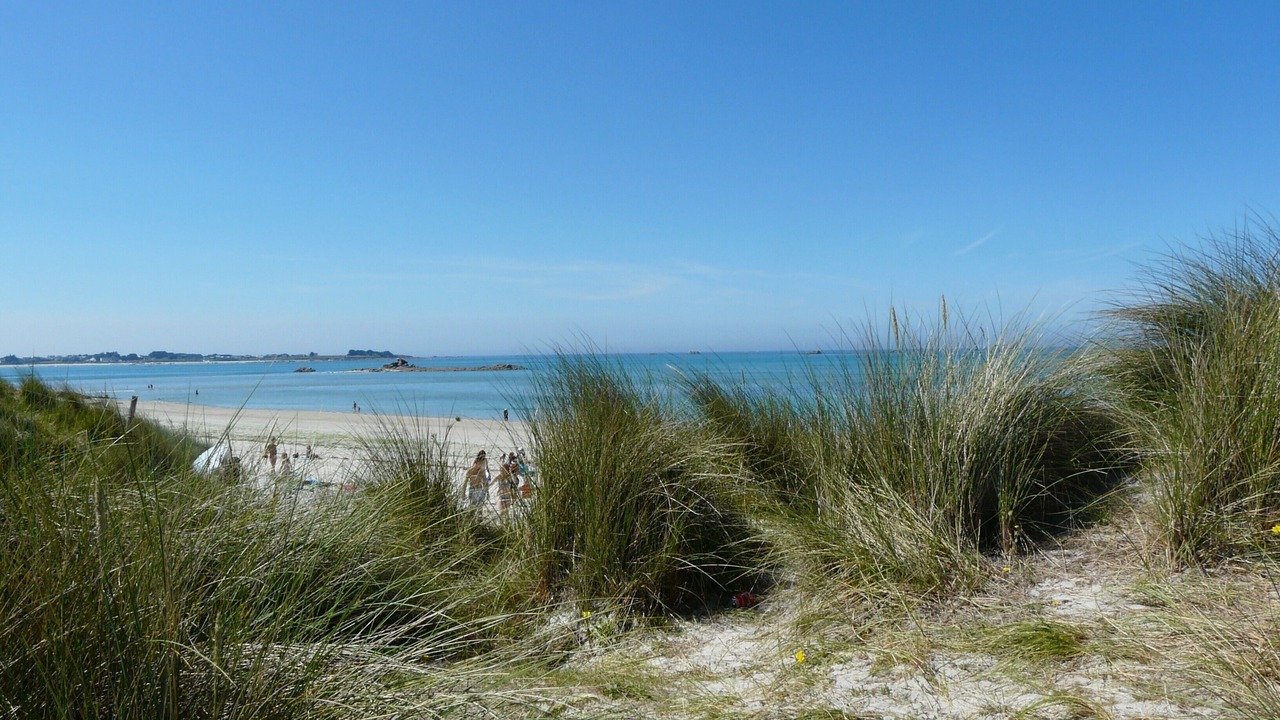 Photo of Others in Cleder