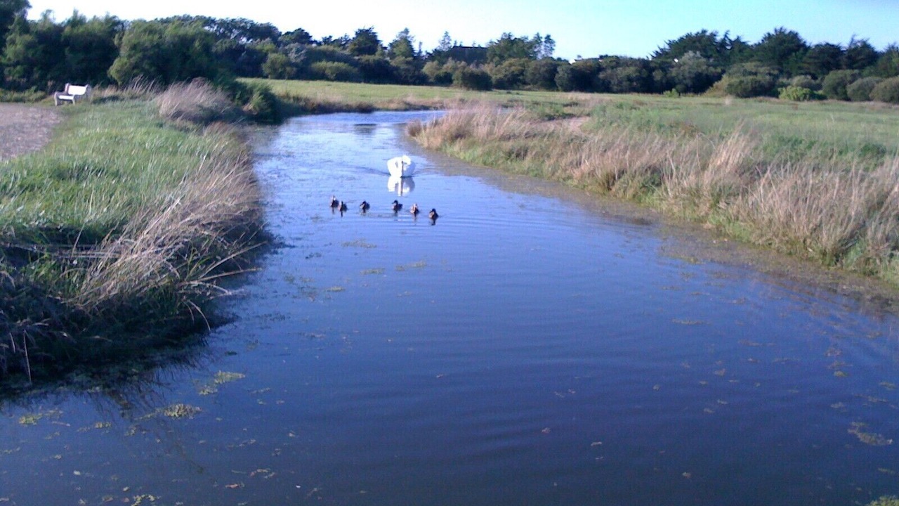 Photo of Others in Cleder