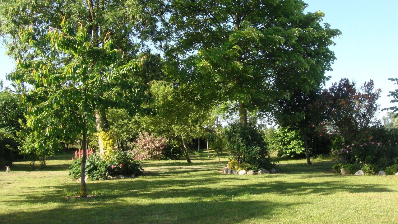 Photo of Outdoor in Nibas