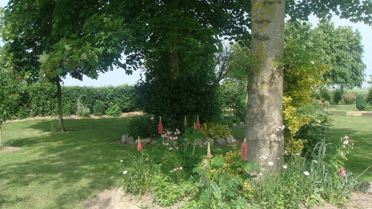 Photo of Outdoor in Nibas