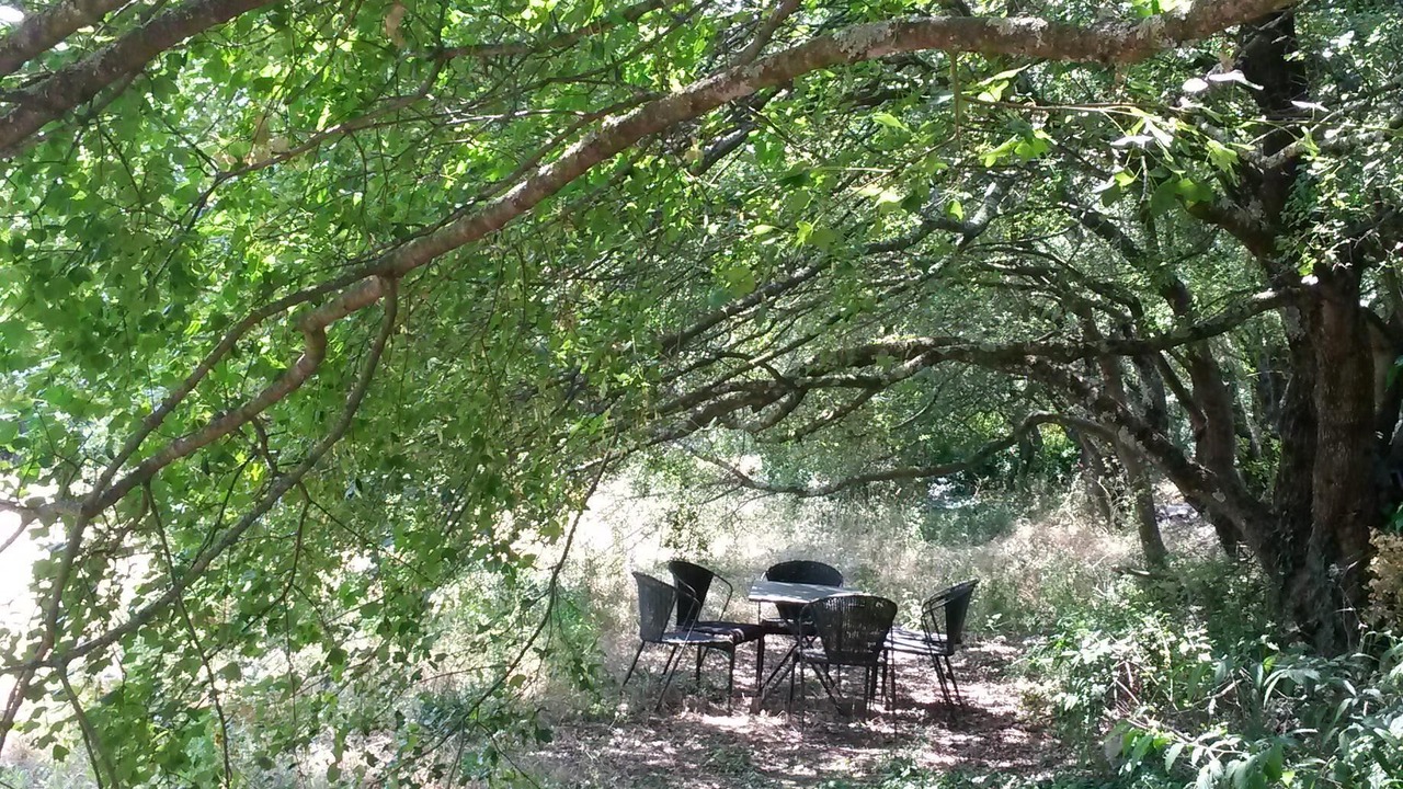 Photo of Outdoor in Fons-sur-Lussan