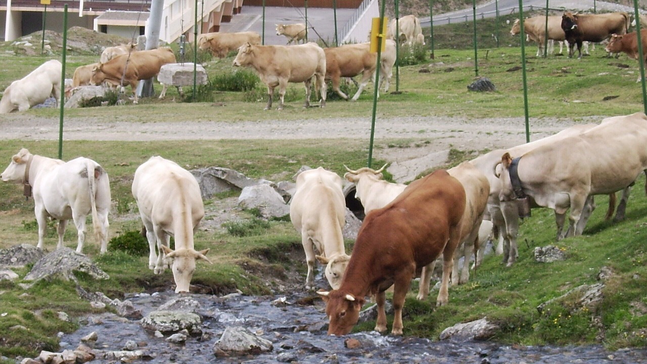 Photo of Outdoor in La Mongie