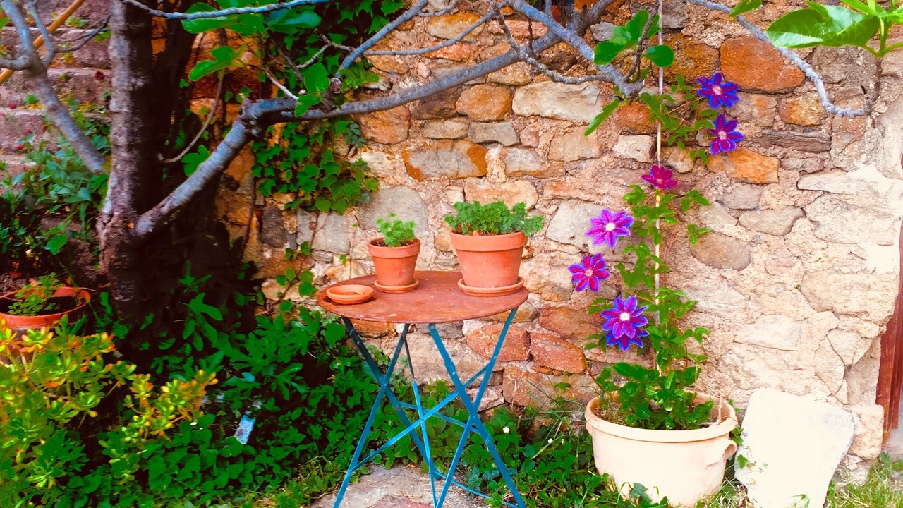 Photo of Patio Balcony in Les Salelles