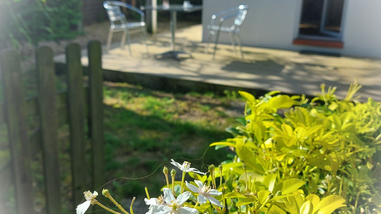 Photo of Outdoor in Paulx