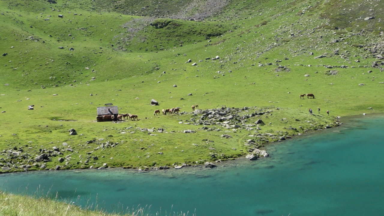 Photo of Others in Bazus-Aure