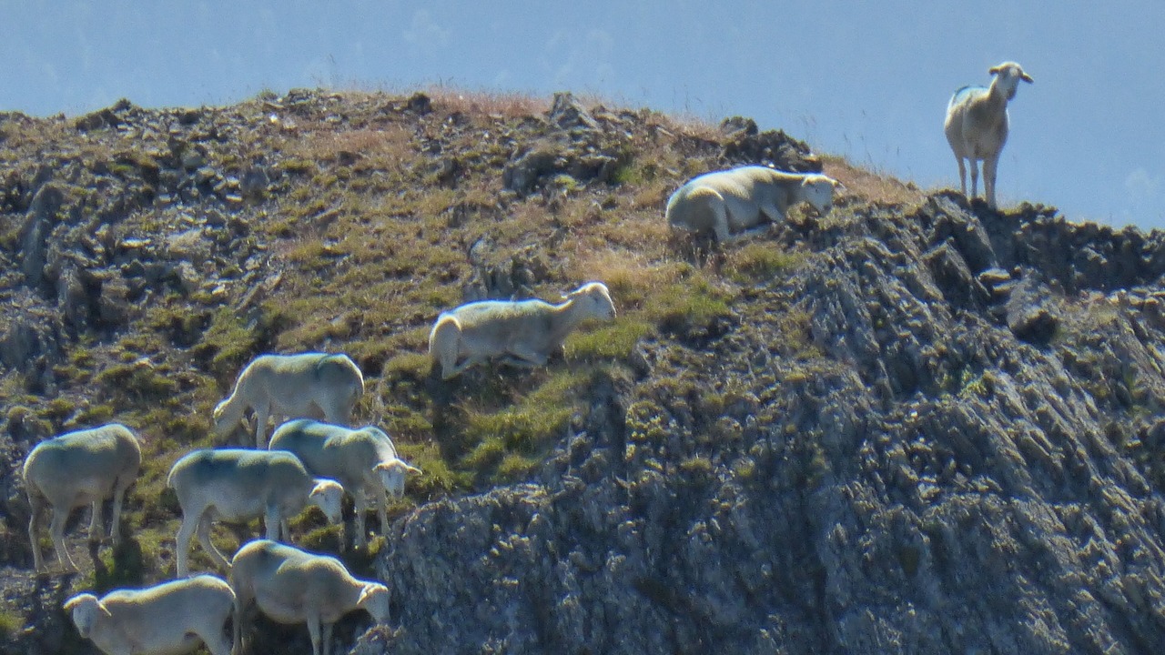 Photo of Outdoor in Bazus-Aure