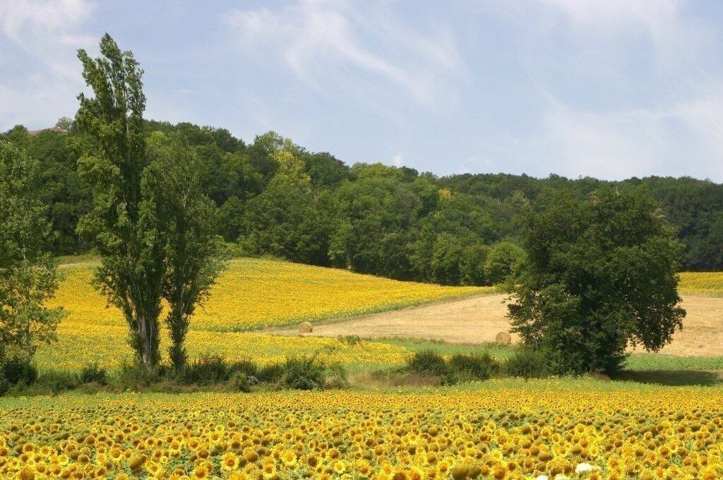 Photo of Outdoor in Sainte-Croix