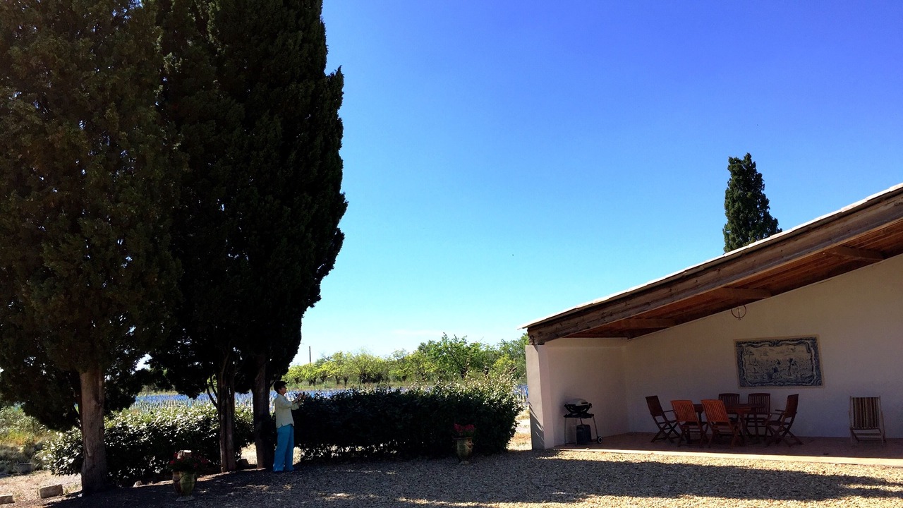 Photo of Outdoor in Aigues-Mortes