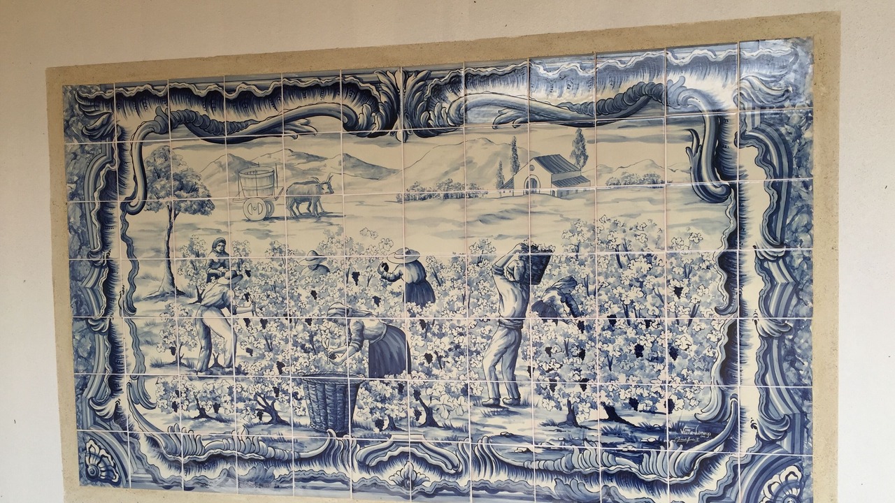 Photo of Others in Aigues-Mortes