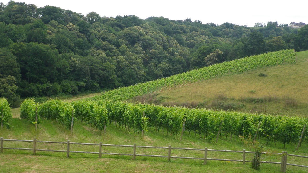 Photo of Outdoor in Lucq-de-Bearn