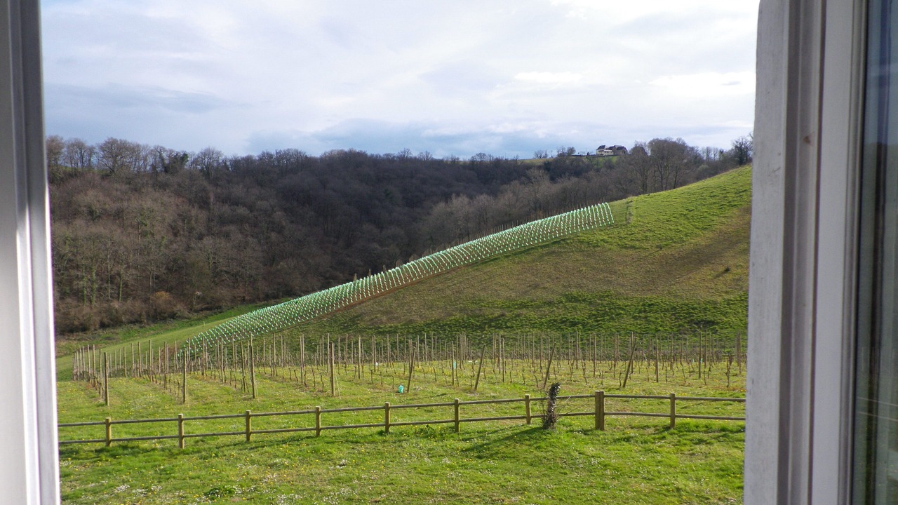 Photo of Others in Lucq-de-Bearn