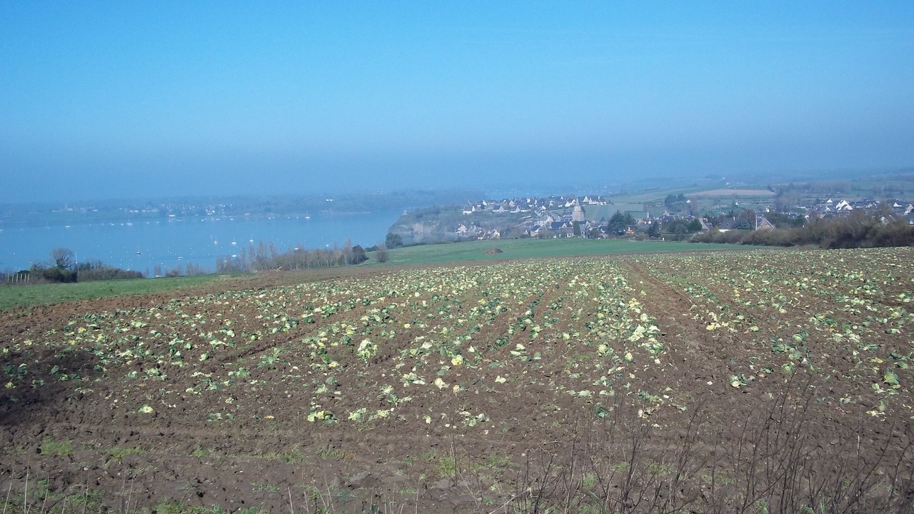 Photo of Others in La Ville-es-Nonais
