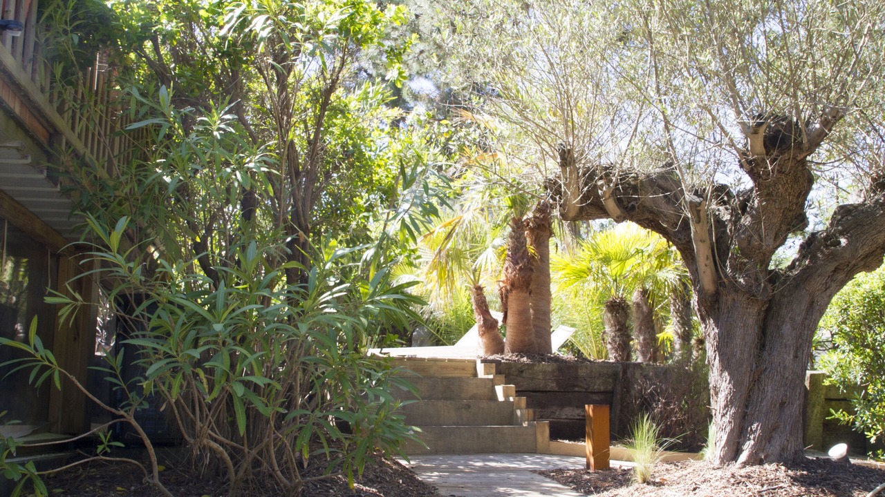 Photo of Outdoor in Cap-Ferret