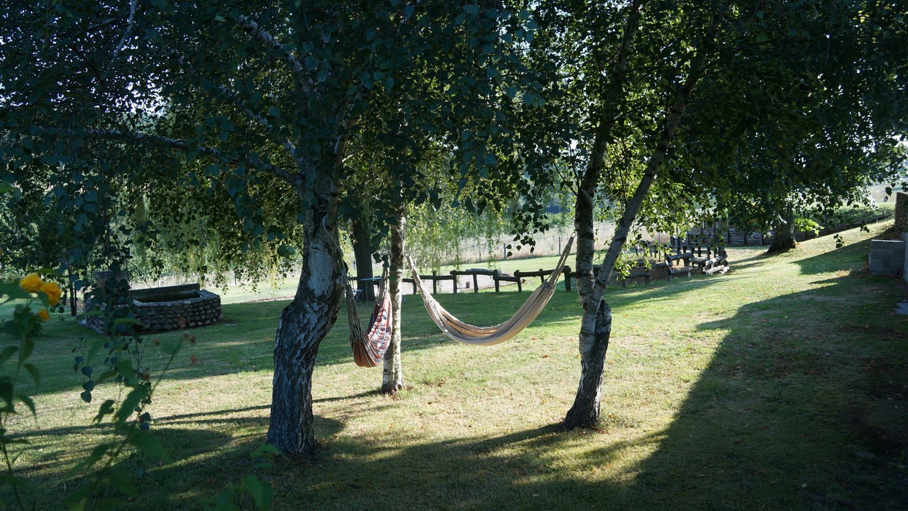 Photo of Outdoor in Saint-Laurent-d'Onay