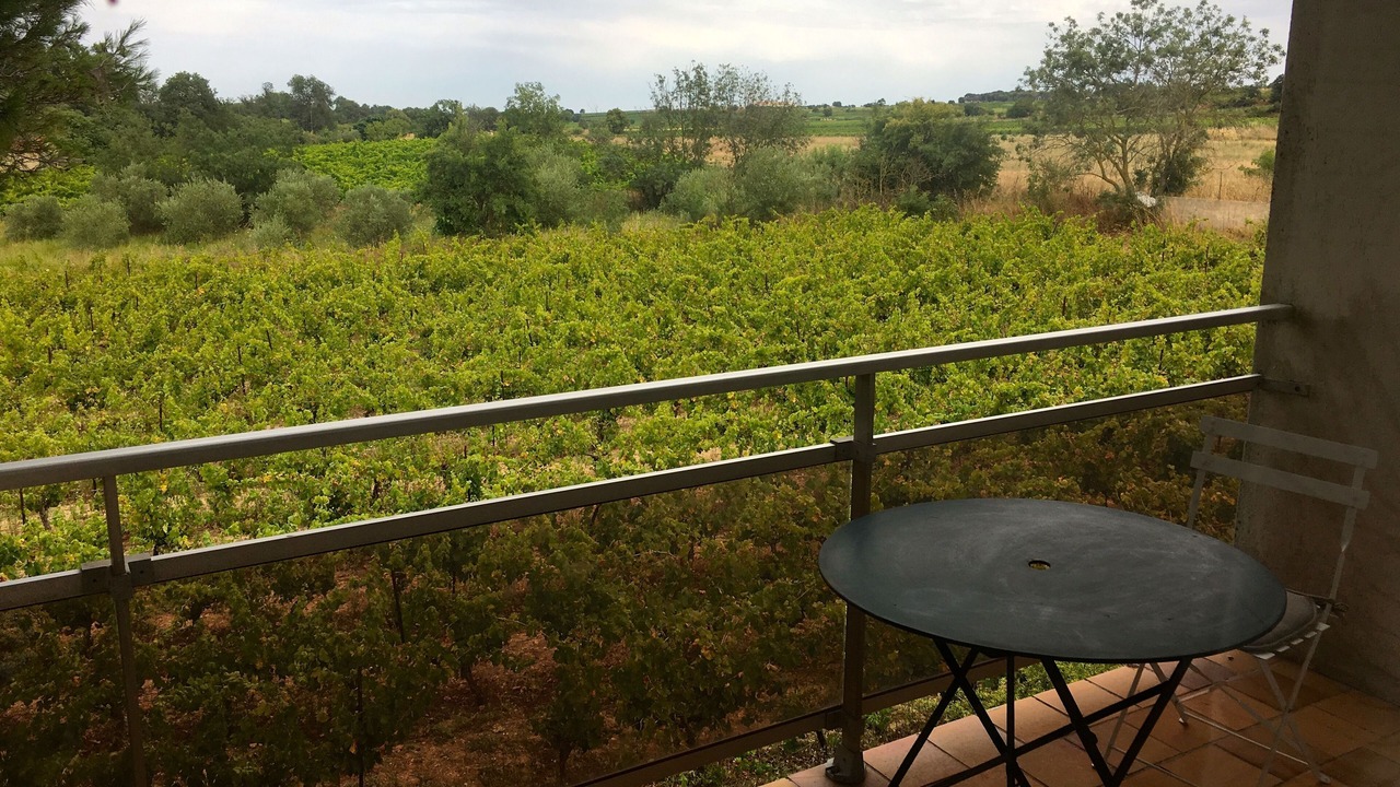 Photo of Outdoor in Pinet