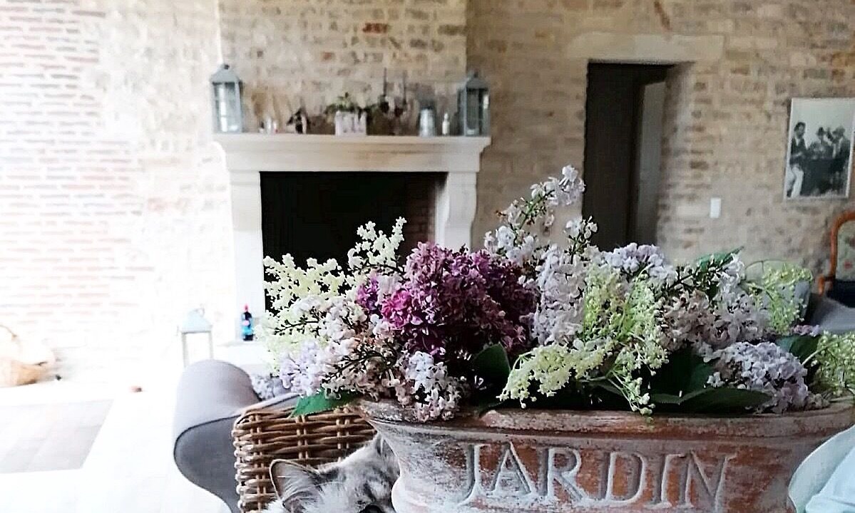 Photo of Others in Tailly