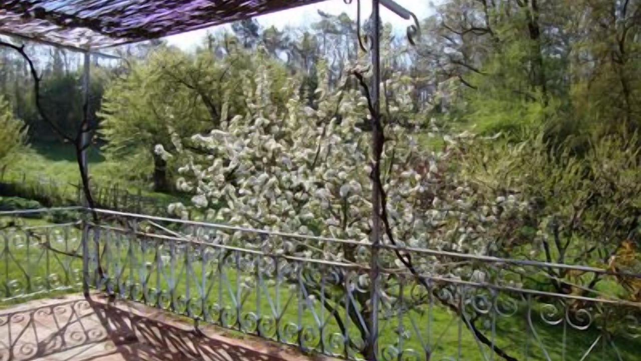 Photo of Outdoor in Paulhiac