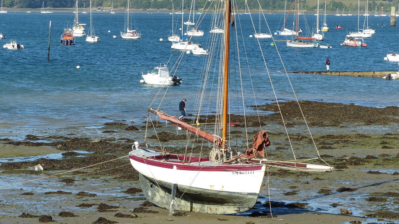 Photo of Others in Miniac-Morvan