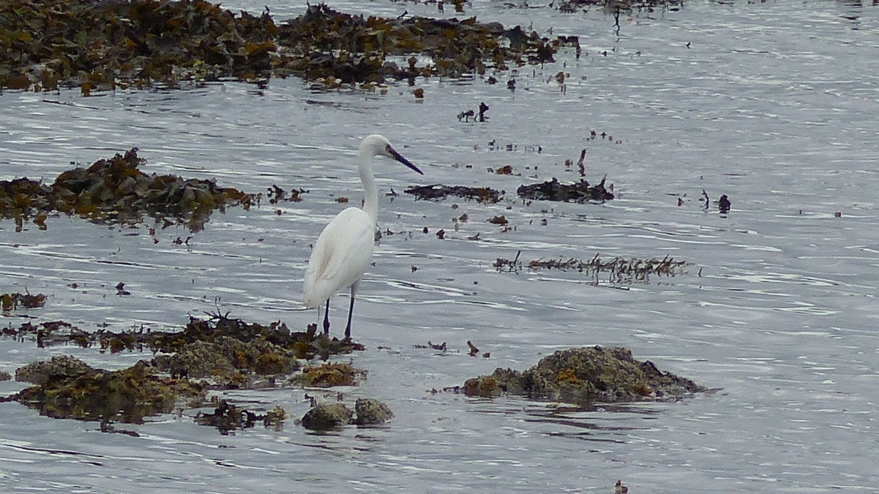 Photo of Others in Miniac-Morvan