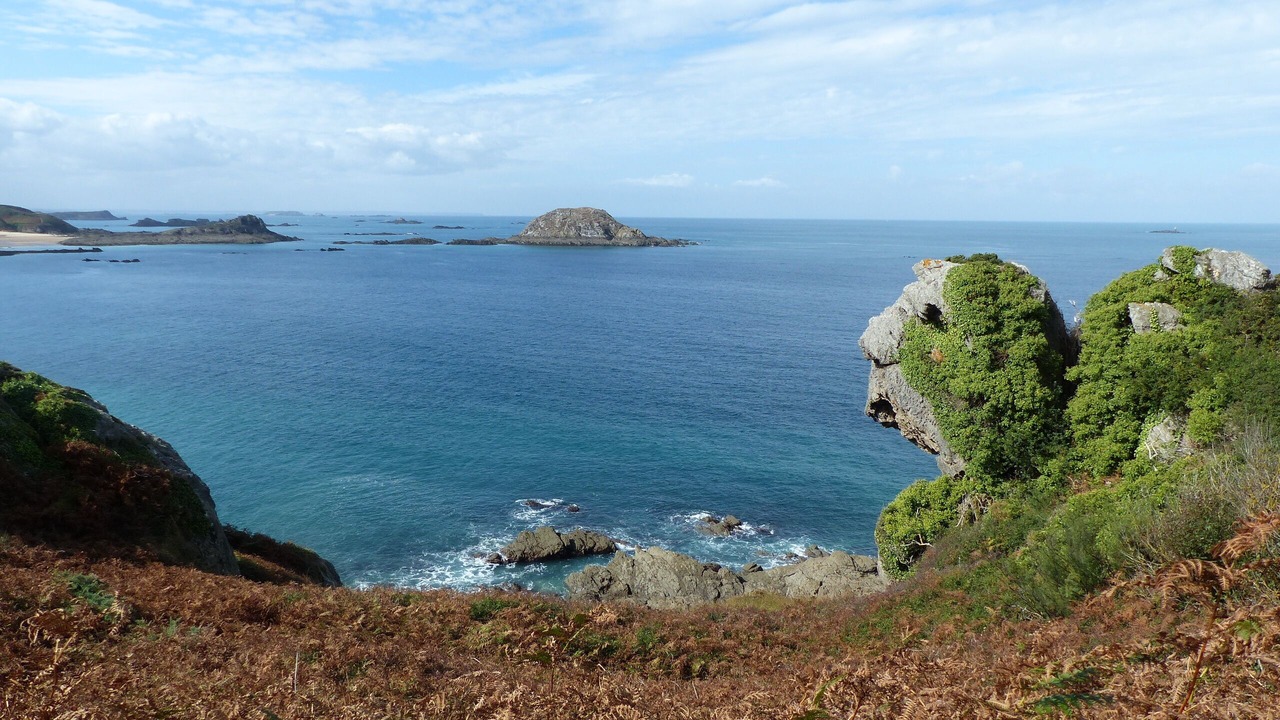 Photo of Others in Miniac-Morvan