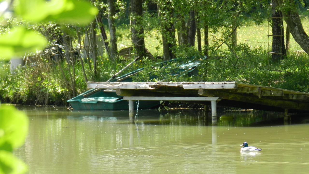 Photo of Outdoor in Bonsmoulins