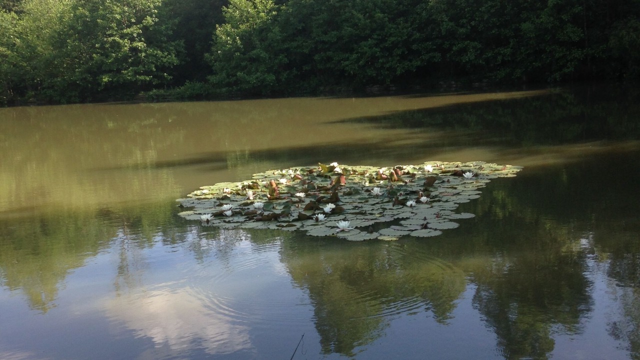 Photo of Outdoor in Bonsmoulins