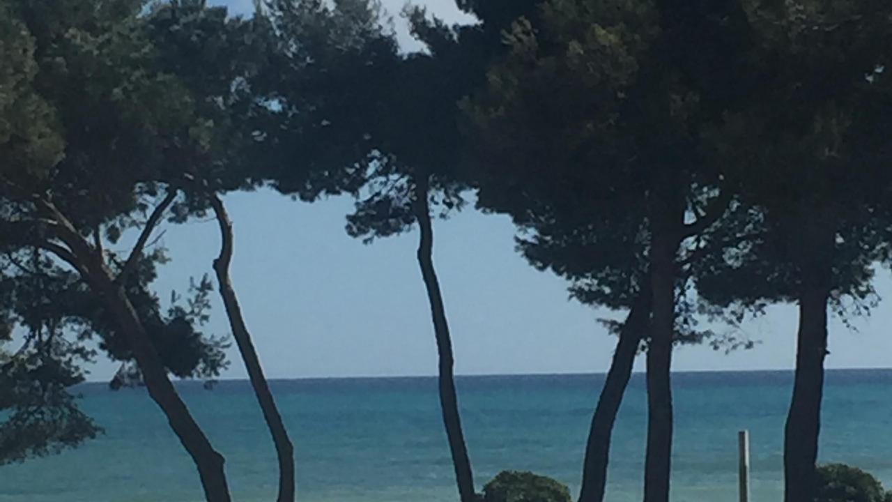 Photo of Outdoor in Cambrils