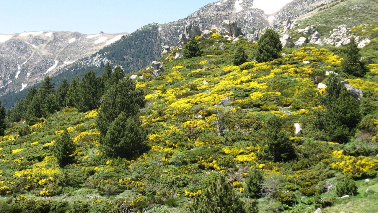 Photo of Outdoor in Amelie-les-Bains-Palalda