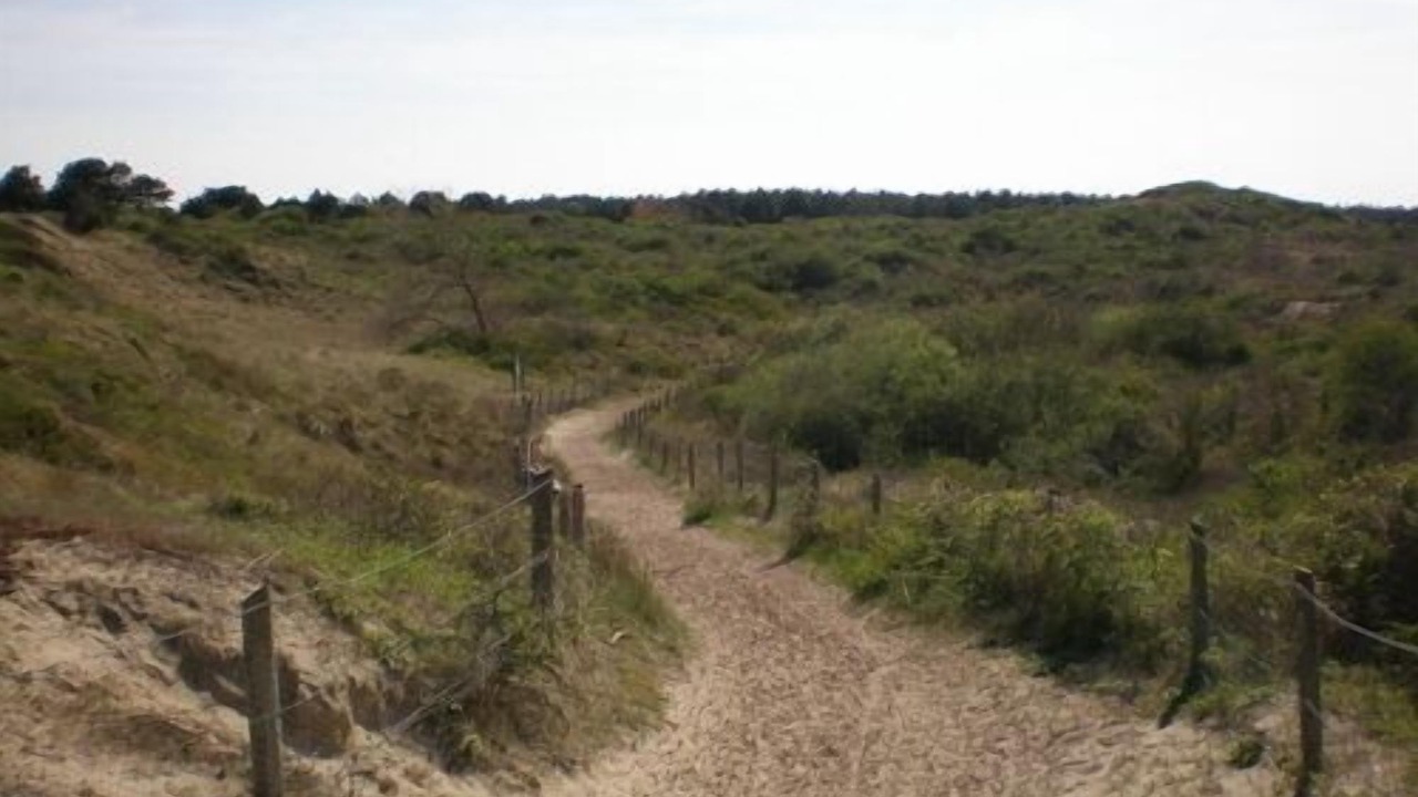 Photo of Others in Fort-Mahon-Plage