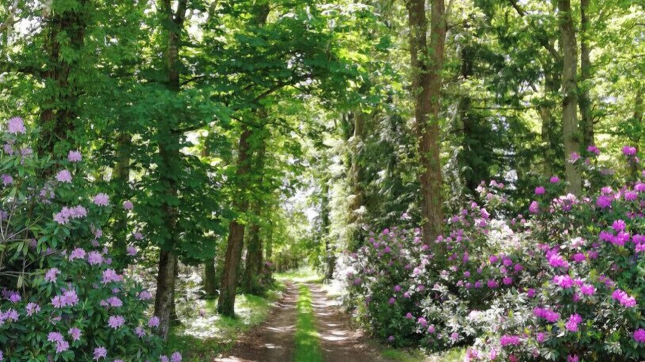 Photo of Outdoor in Selles-Saint-Denis