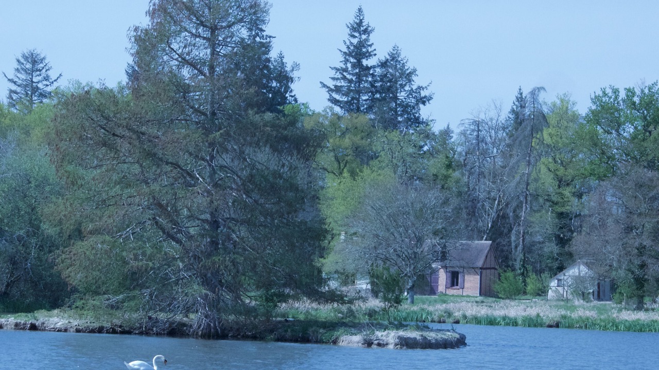 Photo of Outdoor in Selles-Saint-Denis