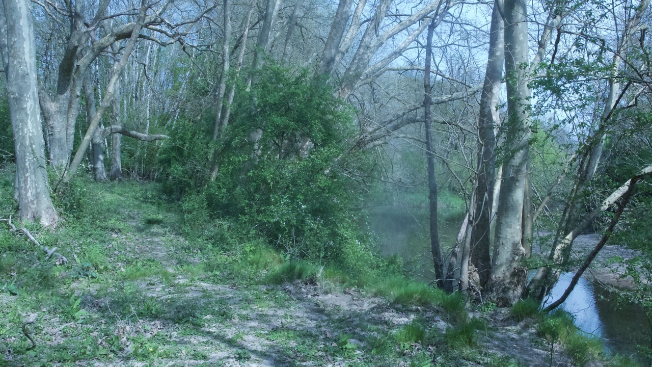 Photo of Outdoor in Selles-Saint-Denis