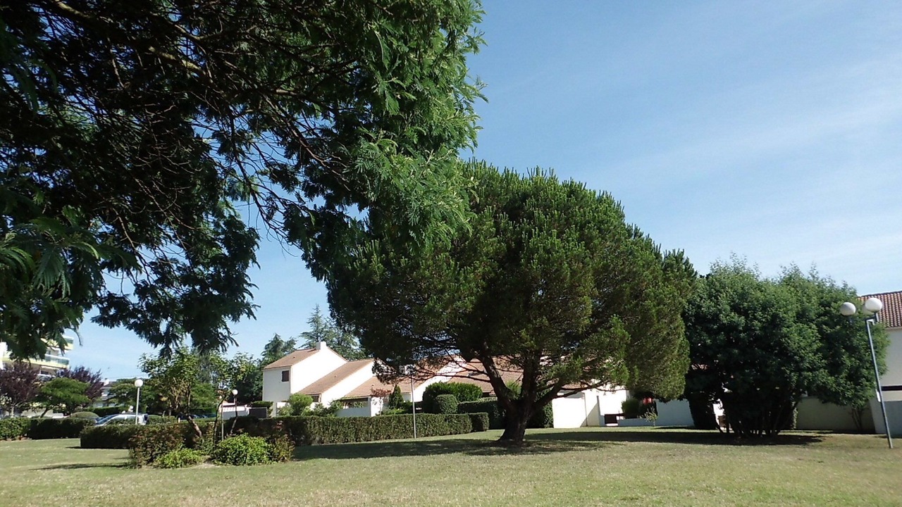 Photo of Outdoor in Pornic
