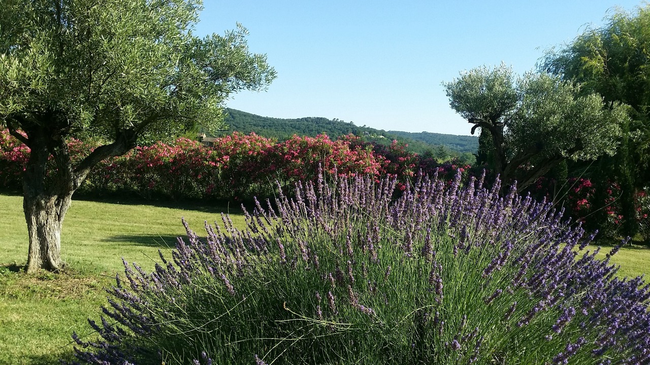 Photo of Outdoor in Cornillon