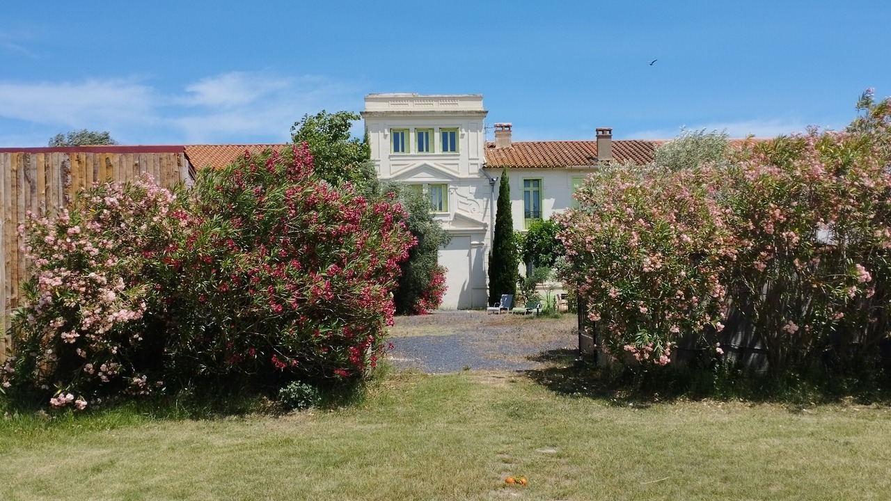 Photo of Outdoor in Sainte-Marie-la-Mer
