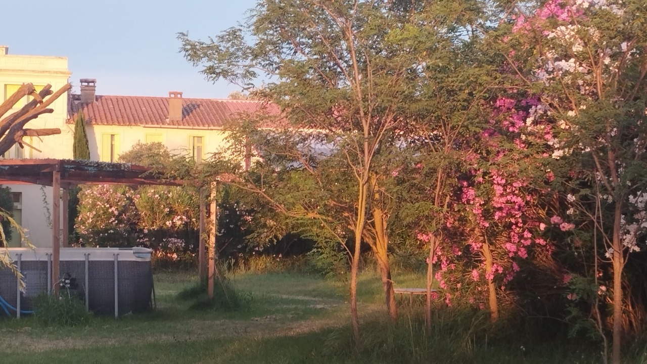 Photo of Others in Sainte-Marie-la-Mer