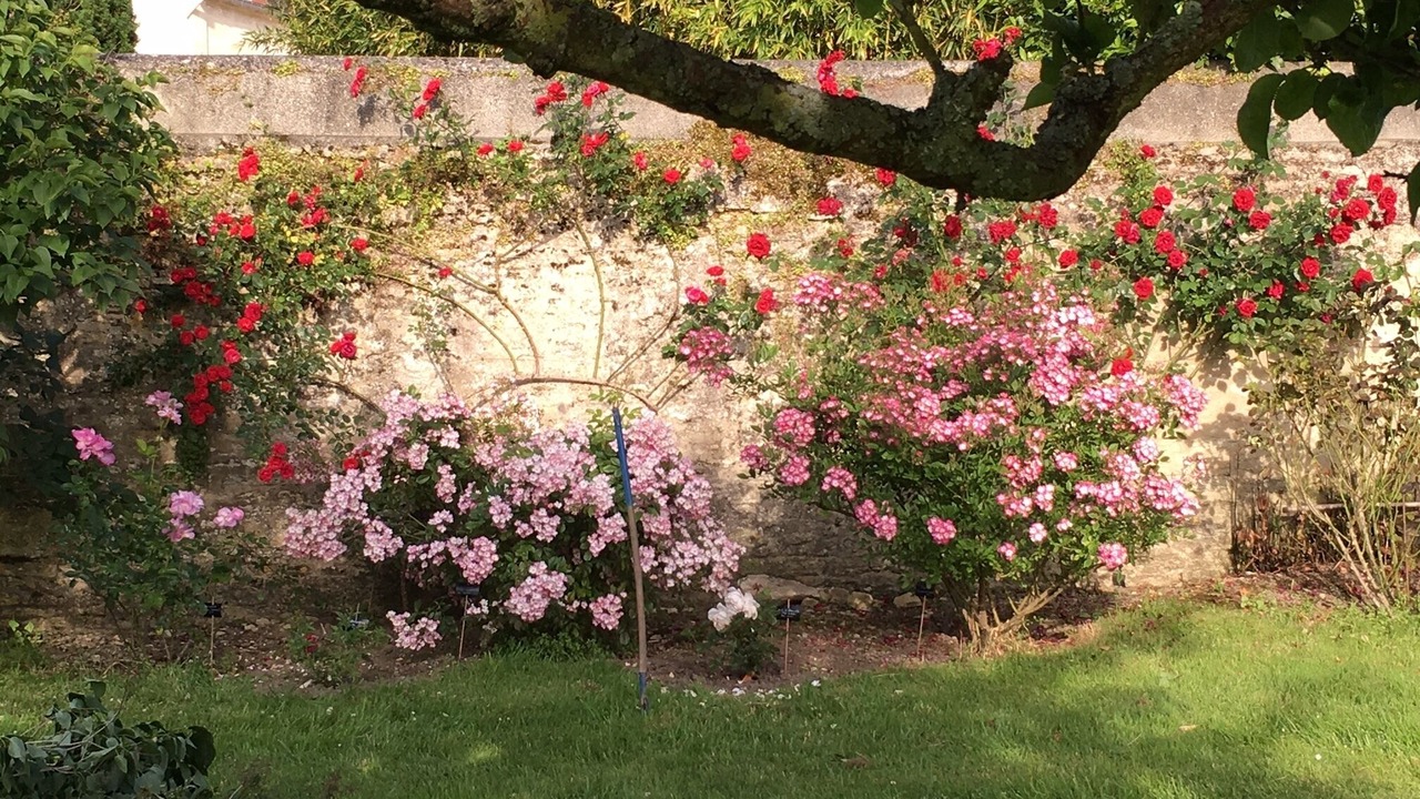 Photo of Outdoor in Langrune-sur-Mer