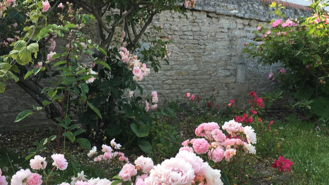Photo of Outdoor in Langrune-sur-Mer