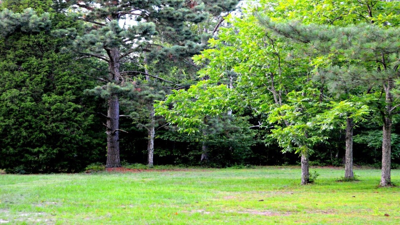Photo of Outdoor in Aiken