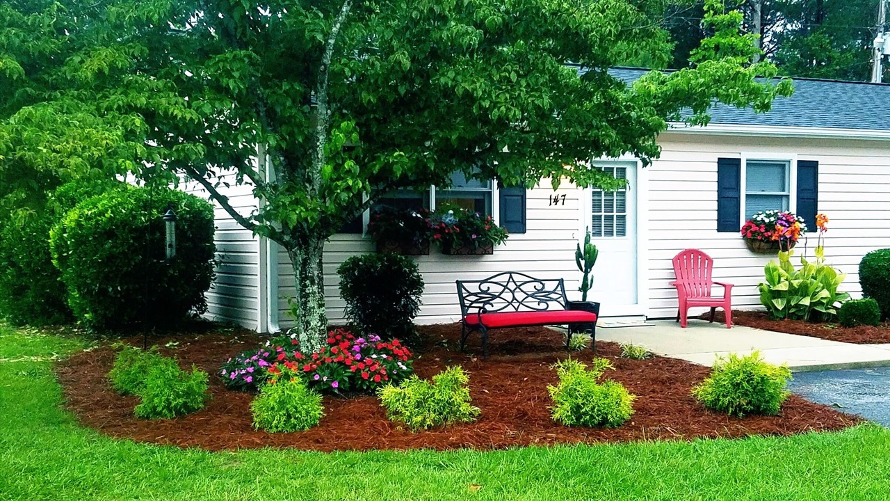 Photo of Outdoor in Aiken