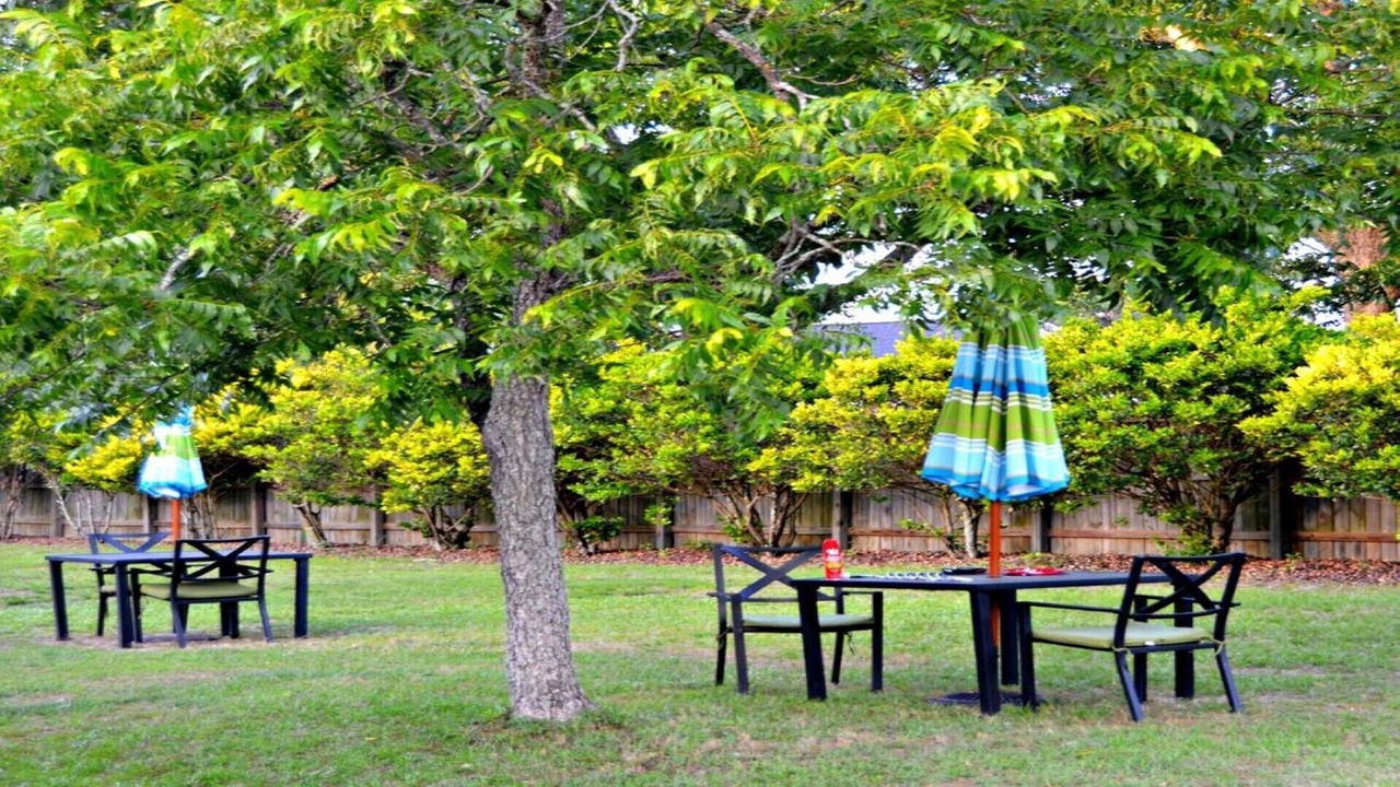 Photo of Outdoor in Aiken
