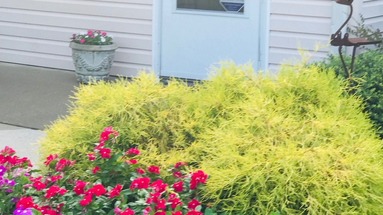Photo of Outdoor in Aiken