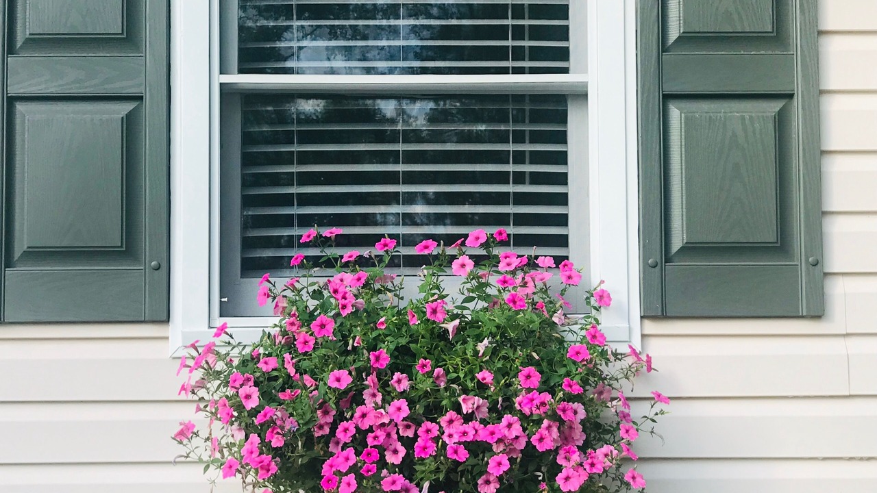 Photo of Outdoor in Aiken