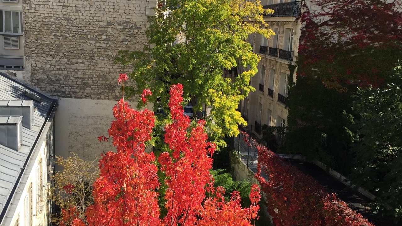 Photo of Patio Balcony in Quartier Saint-Georges