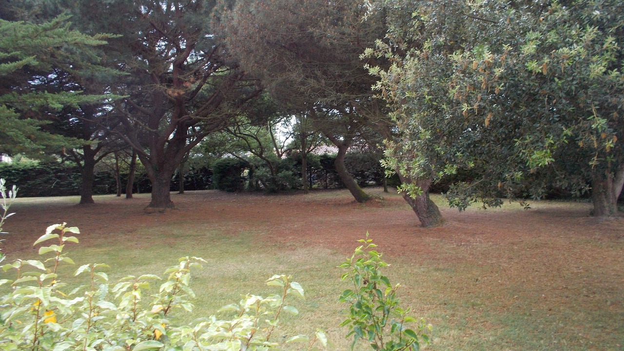 Photo of Outdoor in Les Moutiers-en-Retz