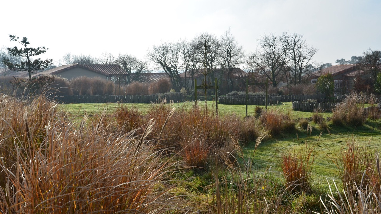 Photo of Outdoor in La Chapelle-Hermier