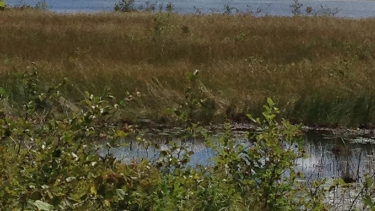 Photo of Outdoor in Lake