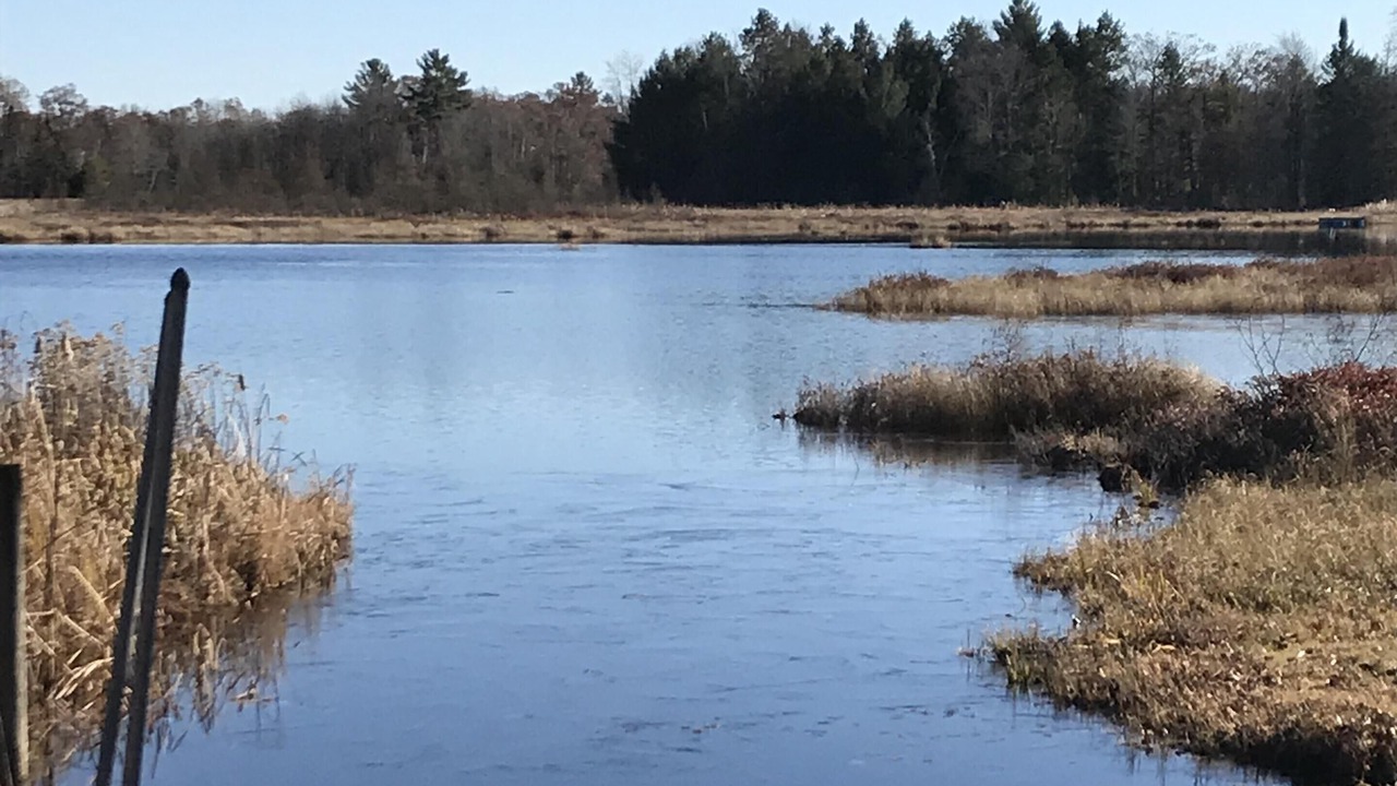 Photo of Outdoor in Lake