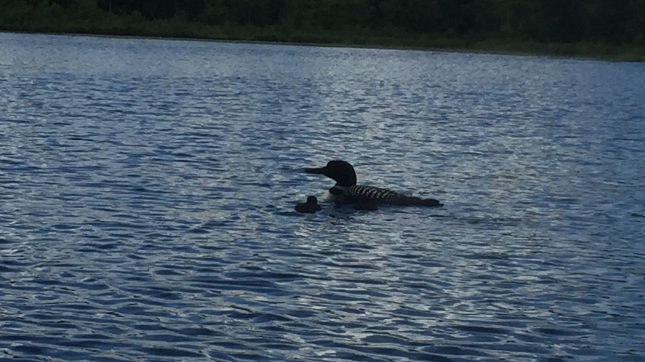 Photo of Outdoor in Lake