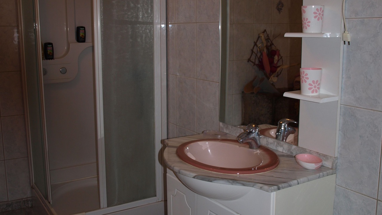 Photo of Bathroom in Le Chatelet-sur-Sormonne